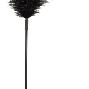 PIÓRKO BLACK FEATHER BAD KITTY
