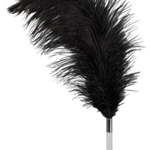 PIÓRKO FEATHER BLACK ACRYLIC