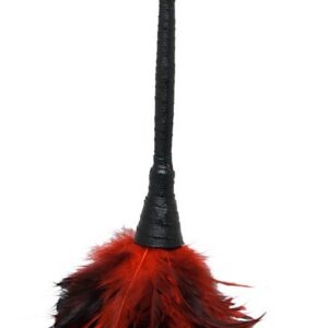 FRISKY FEATHER DUSTER